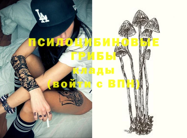 МДПВ Алексеевка